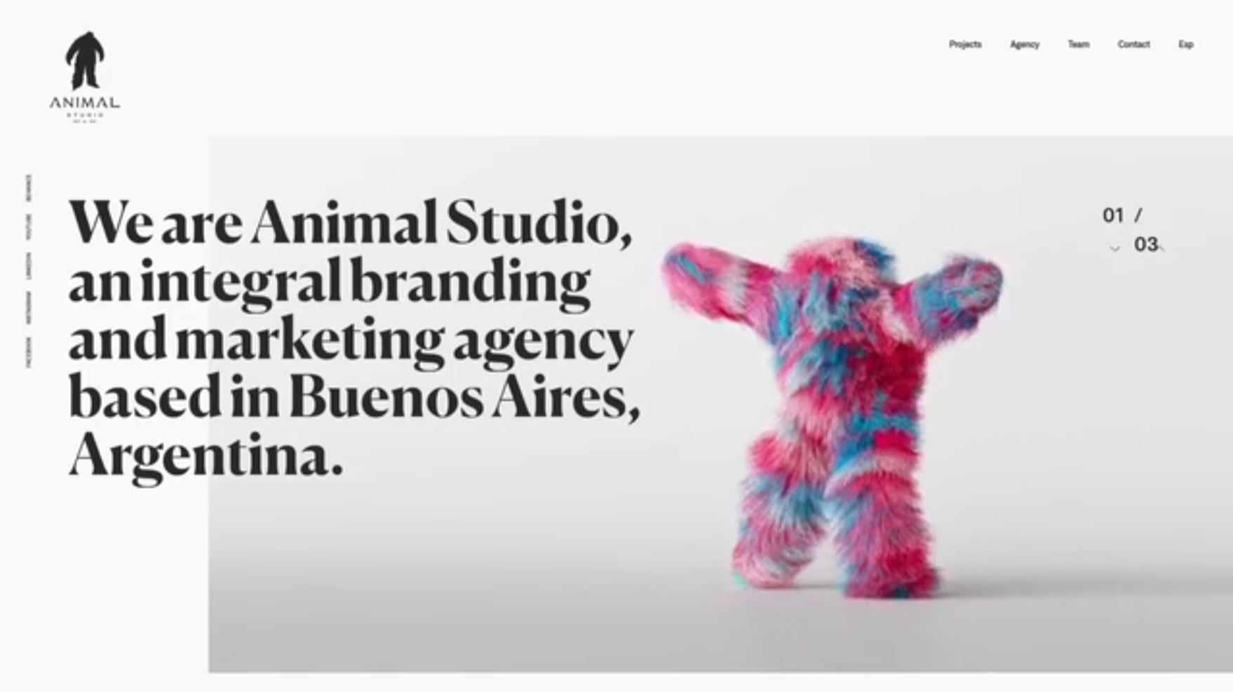 Agency Website